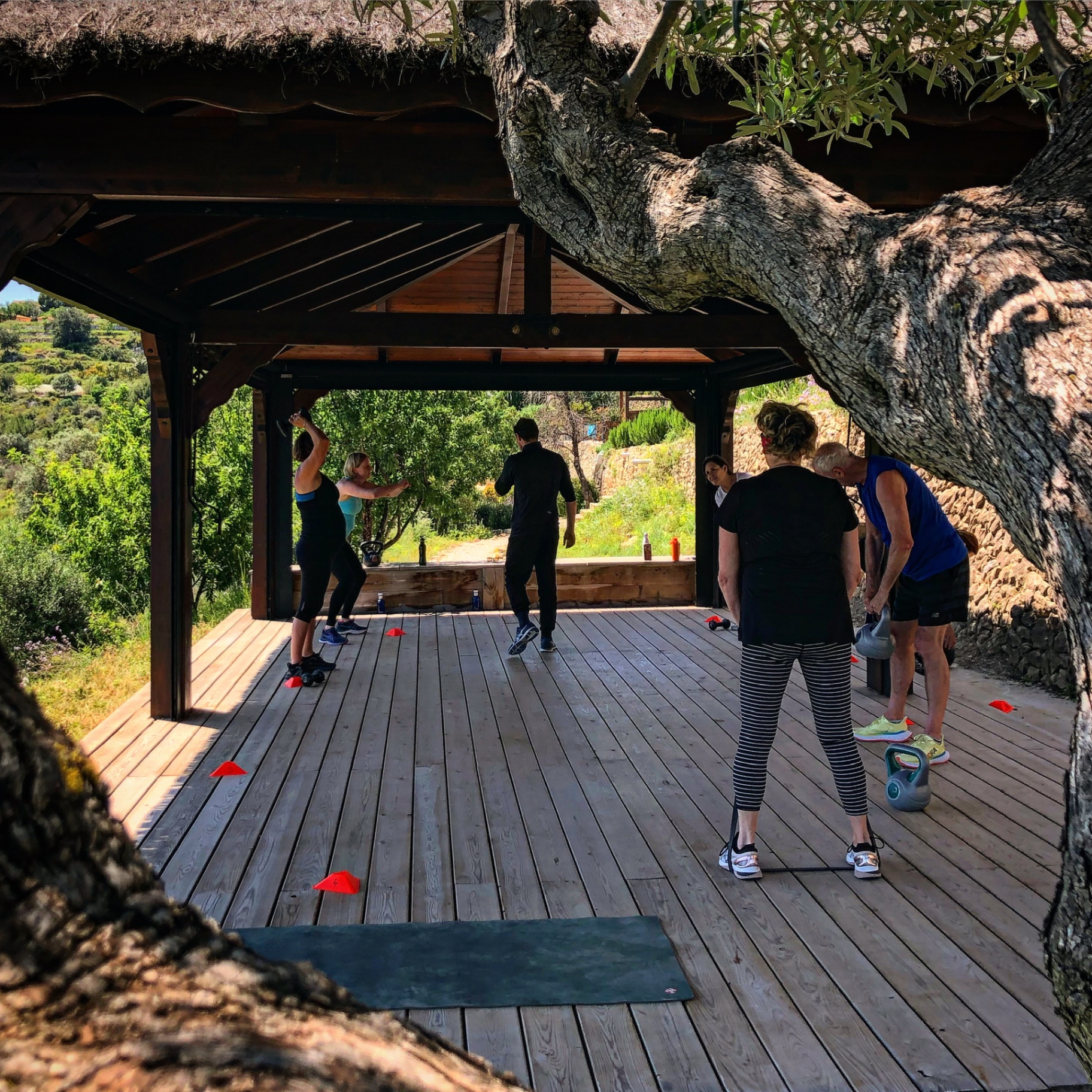 Group fitness training session under natural pavilion